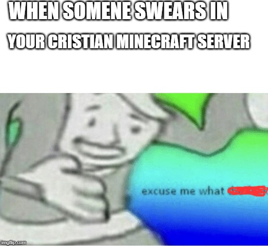 Excuse me wtf blank template | WHEN SOMENE SWEARS IN; YOUR CRISTIAN MINECRAFT SERVER | image tagged in excuse me wtf blank template | made w/ Imgflip meme maker