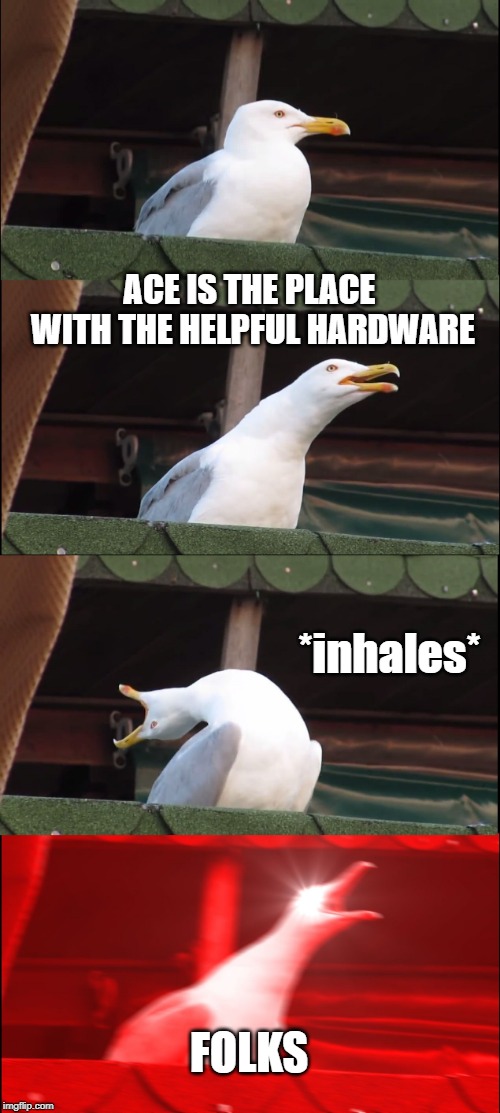 Inhaling Seagull Meme | ACE IS THE PLACE WITH THE HELPFUL HARDWARE; *inhales*; FOLKS | image tagged in memes,inhaling seagull | made w/ Imgflip meme maker