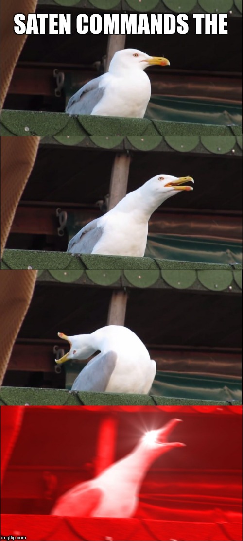 Inhaling Seagull | SATEN COMMANDS THE | image tagged in memes,inhaling seagull | made w/ Imgflip meme maker
