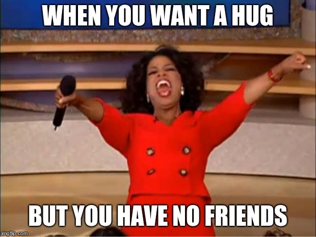 Oprah You Get A Meme | WHEN YOU WANT A HUG; BUT YOU HAVE NO FRIENDS | image tagged in memes,oprah you get a | made w/ Imgflip meme maker