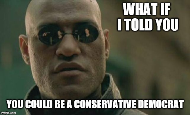 Matrix Morpheus Meme | WHAT IF I TOLD YOU YOU COULD BE A CONSERVATIVE DEMOCRAT | image tagged in memes,matrix morpheus | made w/ Imgflip meme maker