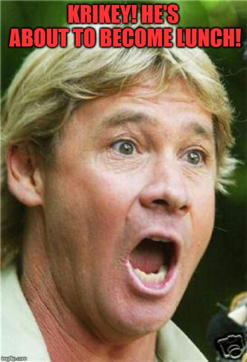 Steve Irwin shocked | KRIKEY! HE'S ABOUT TO BECOME LUNCH! | image tagged in steve irwin shocked | made w/ Imgflip meme maker