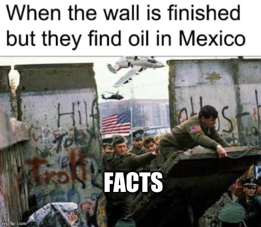 Wall | FACTS | image tagged in wall,oil,usa | made w/ Imgflip meme maker