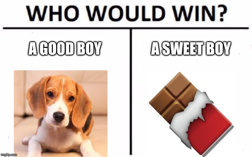 Who Would Win? | A GOOD BOY; A SWEET BOY | image tagged in memes,who would win | made w/ Imgflip meme maker