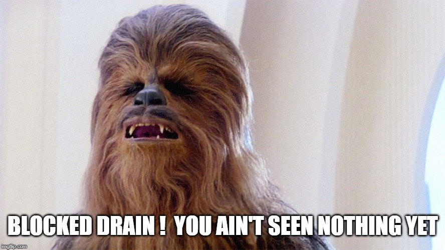 Chewbacca | BLOCKED DRAIN !  YOU AIN'T SEEN NOTHING YET | image tagged in chewbacca | made w/ Imgflip meme maker