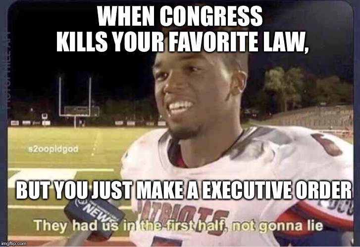They had us in the first half, not goona lie | WHEN CONGRESS KILLS YOUR FAVORITE LAW, BUT YOU JUST MAKE A EXECUTIVE ORDER | image tagged in they had us in the first half not goona lie | made w/ Imgflip meme maker