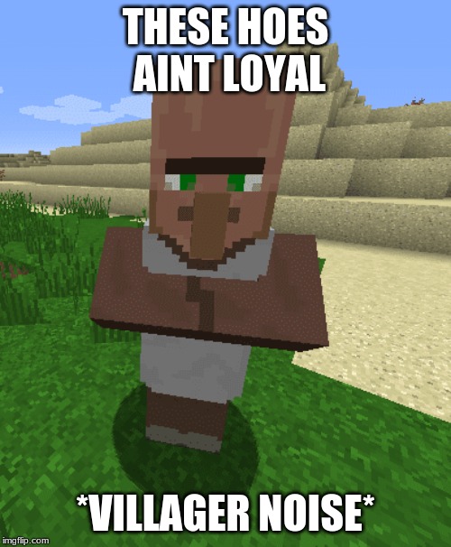 VILLAGER NOISE* image tagged in dank memes,memes,funny,funnymemes,shitpost ...