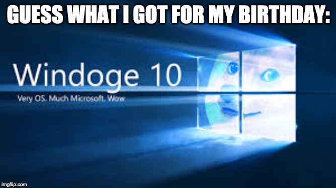 WIndoge | GUESS WHAT I GOT FOR MY BIRTHDAY: | image tagged in windoge | made w/ Imgflip meme maker