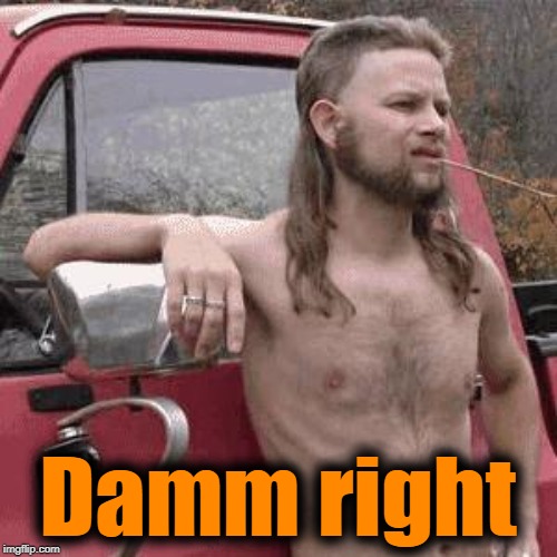almost redneck | Damm right | image tagged in almost redneck | made w/ Imgflip meme maker
