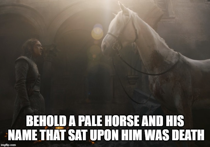 death | BEHOLD A PALE HORSE AND HIS NAME THAT SAT UPON HIM WAS DEATH | image tagged in sad | made w/ Imgflip meme maker