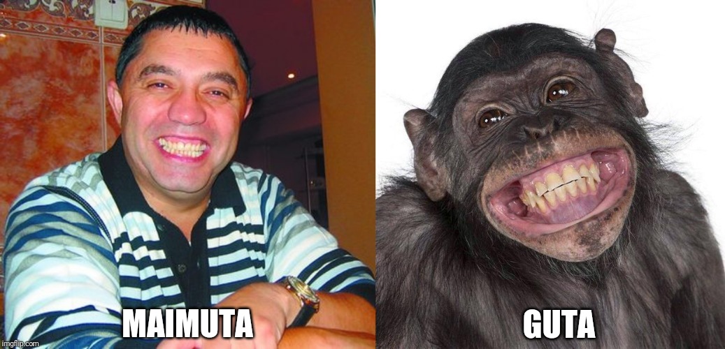 Spot the Difference! | GUTA; MAIMUTA | image tagged in memes,funny,funny memes,romania,monkey | made w/ Imgflip meme maker