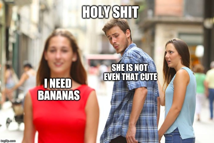 Distracted Boyfriend | HOLY SHIT; SHE IS NOT EVEN THAT CUTE; I NEED BANANAS | image tagged in memes,distracted boyfriend | made w/ Imgflip meme maker