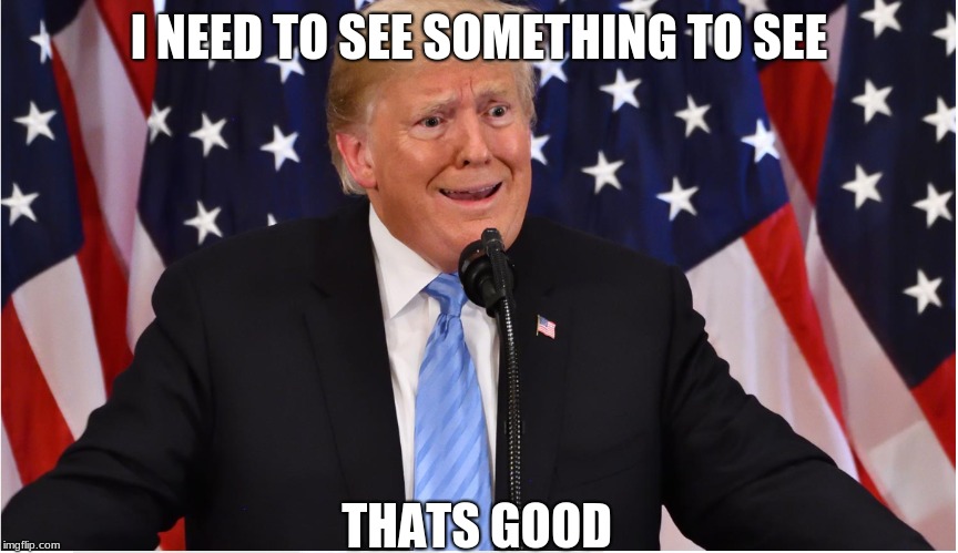 trump | I NEED TO SEE SOMETHING TO SEE; THATS GOOD | image tagged in trump | made w/ Imgflip meme maker