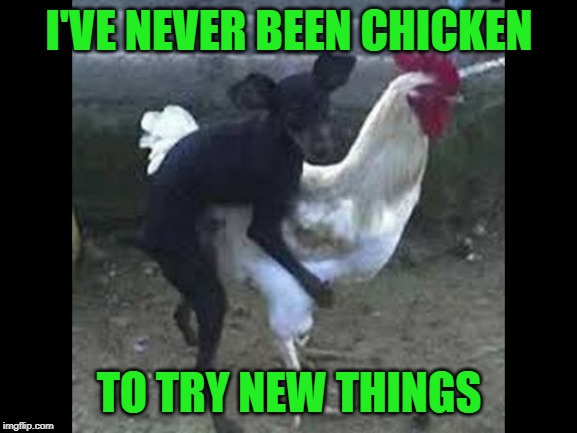 Trying new things keeps you young! | I'VE NEVER BEEN CHICKEN; TO TRY NEW THINGS | image tagged in dogs,memes,chicken,funny,animals,trying new things | made w/ Imgflip meme maker