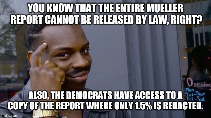 Roll Safe Think About It Meme | YOU KNOW THAT THE ENTIRE MUELLER REPORT CANNOT BE RELEASED BY LAW, RIGHT? ALSO, THE DEMOCRATS HAVE ACCESS TO A COPY OF THE REPORT WHERE ONLY | image tagged in memes,roll safe think about it | made w/ Imgflip meme maker