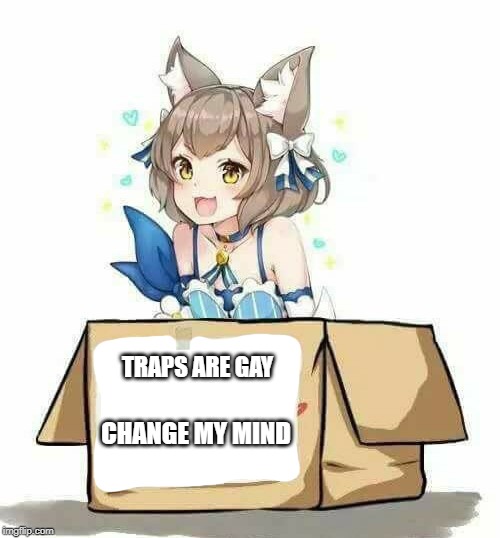 Traps are Gay. Change my mind. | TRAPS ARE GAY; CHANGE MY MIND | image tagged in it's a trap,trap,memes | made w/ Imgflip meme maker