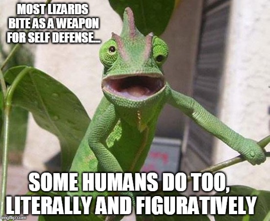 lizard | MOST LIZARDS BITE AS A WEAPON FOR SELF DEFENSE... SOME HUMANS DO TOO, LITERALLY AND FIGURATIVELY | image tagged in lizard | made w/ Imgflip meme maker