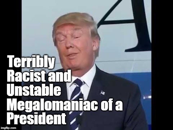 T.R.U.M.P. | Terribly; Racist and; Unstable; Megalomaniac of a; President | image tagged in trump duh | made w/ Imgflip meme maker