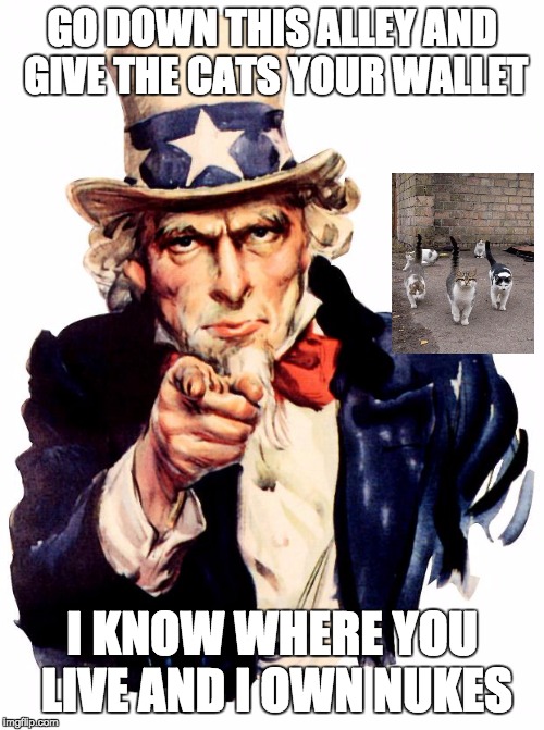 Uncle Sam Meme | GO DOWN THIS ALLEY AND GIVE THE CATS YOUR WALLET; I KNOW WHERE YOU LIVE AND I OWN NUKES | image tagged in memes,uncle sam | made w/ Imgflip meme maker