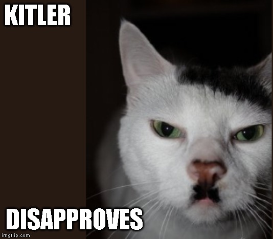 Kitler Disapproves | KITLER; DISAPPROVES | image tagged in political meme,shitpost,edgy,reactions | made w/ Imgflip meme maker
