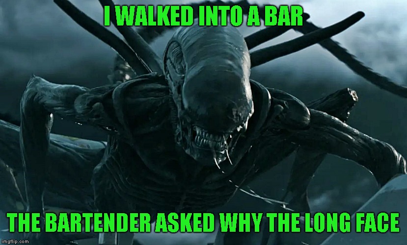 In space no one laughs at your bad jokes | I WALKED INTO A BAR; THE BARTENDER ASKED WHY THE LONG FACE | image tagged in bad jokes,just a joke | made w/ Imgflip meme maker