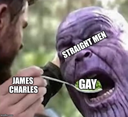 James Charles conversion | STRAIGHT MEN; JAMES CHARLES; GAY | image tagged in thanos | made w/ Imgflip meme maker