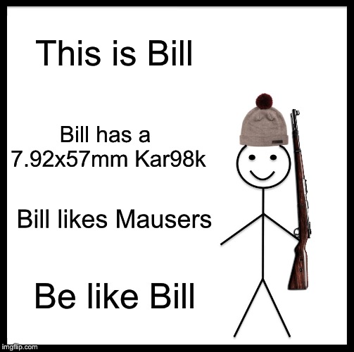 Be Like Bill Meme | This is Bill; Bill has a 7.92x57mm Kar98k; Bill likes Mausers; Be like Bill | image tagged in memes,be like bill | made w/ Imgflip meme maker