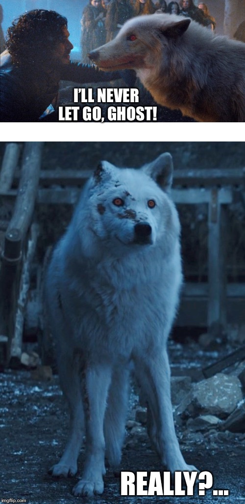 Jon and Ghost | I’LL NEVER LET GO, GHOST! REALLY?... | image tagged in game of thrones | made w/ Imgflip meme maker