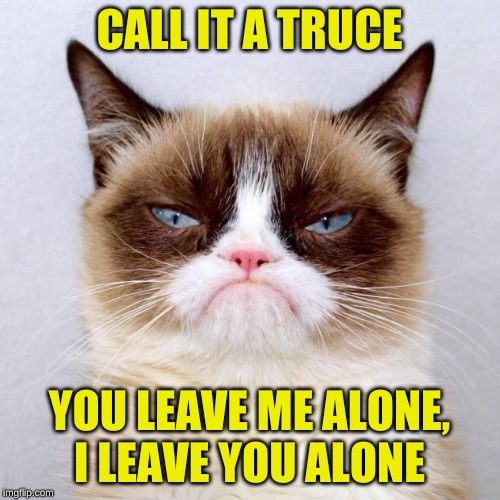 Grumpy Cat Outside | CALL IT A TRUCE YOU LEAVE ME ALONE, I LEAVE YOU ALONE | image tagged in grumpy cat outside | made w/ Imgflip meme maker