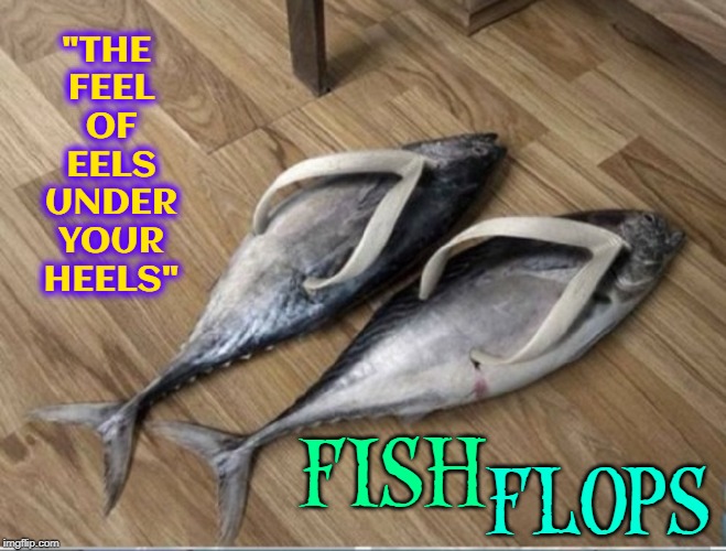 For the Fisherman Who has Everything... | "THE FEEL OF EELS UNDER YOUR HEELS"; FISH; FLOPS | image tagged in fish flops,vince vance,flip flops,fish shoes,sounds fishy to me,fish for your feet | made w/ Imgflip meme maker