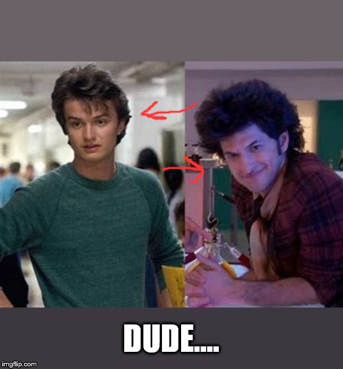 evolution!!!! | DUDE.... | image tagged in stranger things | made w/ Imgflip meme maker