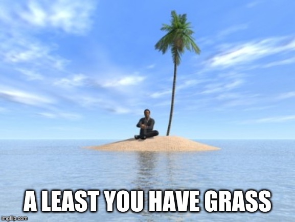 Desert island | A LEAST YOU HAVE GRASS | image tagged in desert island | made w/ Imgflip meme maker