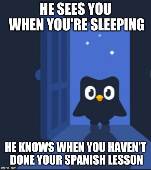 Duolingo bird | HE SEES YOU WHEN YOU'RE SLEEPING; HE KNOWS WHEN YOU HAVEN'T DONE YOUR SPANISH LESSON | image tagged in duolingo bird | made w/ Imgflip meme maker