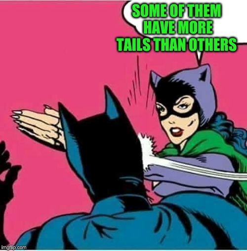 Catwoman Slaps Batman | SOME OF THEM HAVE MORE TAILS THAN OTHERS | image tagged in catwoman slaps batman | made w/ Imgflip meme maker