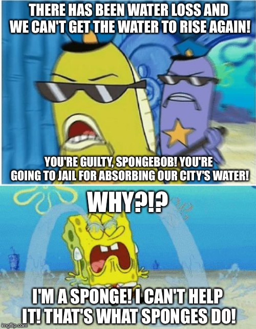 Guilty or Innocent? | THERE HAS BEEN WATER LOSS AND WE CAN'T GET THE WATER TO RISE AGAIN! YOU'RE GUILTY, SPONGEBOB! YOU'RE GOING TO JAIL FOR ABSORBING OUR CITY'S WATER! WHY?!? I'M A SPONGE! I CAN'T HELP IT! THAT'S WHAT SPONGES DO! | image tagged in spongebob crying,spongebob police,spongebob,memes,funny | made w/ Imgflip meme maker