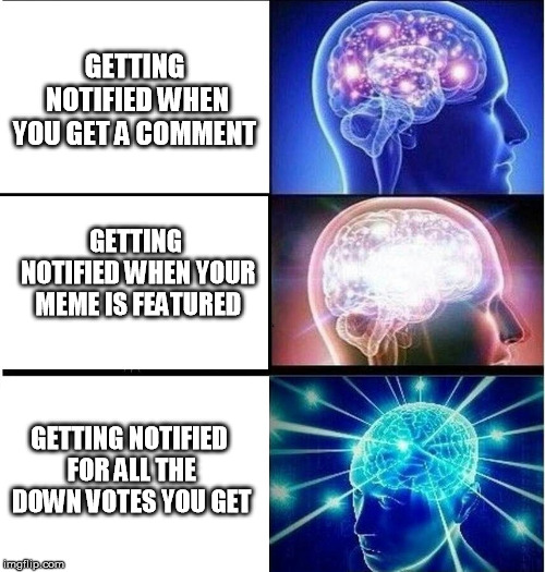 I would honestly love to see how much I'm hated | GETTING NOTIFIED WHEN YOU GET A COMMENT; GETTING NOTIFIED WHEN YOUR MEME IS FEATURED; GETTING NOTIFIED FOR ALL THE DOWN VOTES YOU GET | image tagged in meme,down votes,expanding brain | made w/ Imgflip meme maker