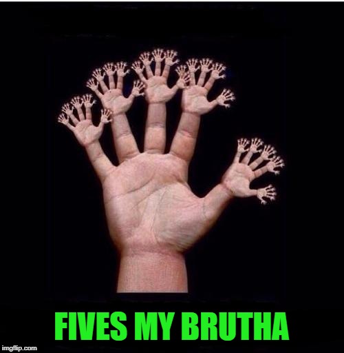 FIVES MY BRUTHA | made w/ Imgflip meme maker
