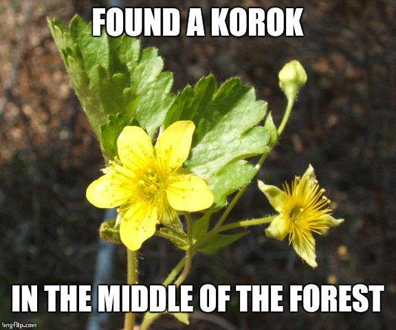 Zelda korok | FOUND A KOROK; IN THE MIDDLE OF THE FOREST | image tagged in zelda | made w/ Imgflip meme maker