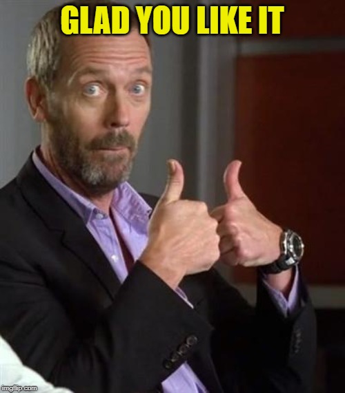 Dr. House | GLAD YOU LIKE IT | image tagged in dr house | made w/ Imgflip meme maker