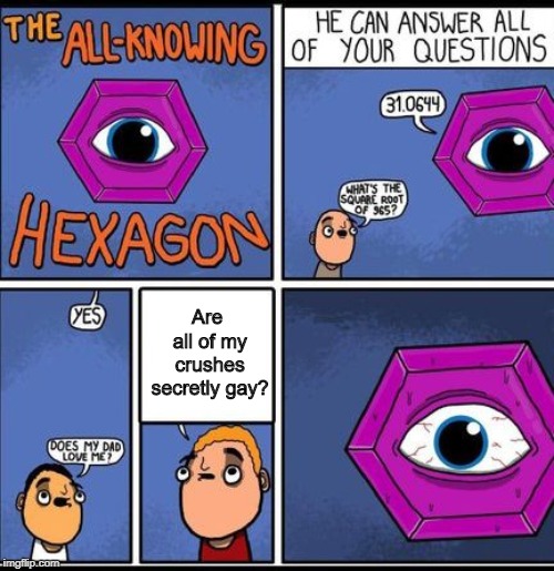No, seriously. | Are all of my crushes secretly gay? | image tagged in all knowing hexagon,gay | made w/ Imgflip meme maker