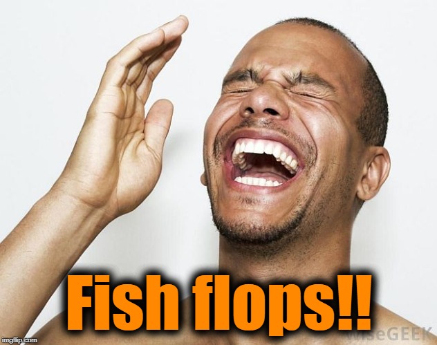 lol | Fish flops!! | image tagged in lol | made w/ Imgflip meme maker
