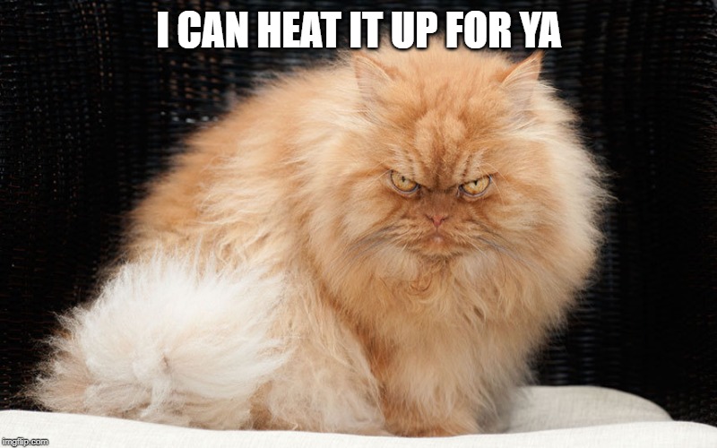 Angry Cat | I CAN HEAT IT UP FOR YA | image tagged in angry cat | made w/ Imgflip meme maker