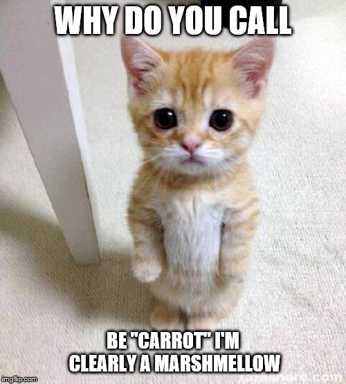 Cute Cat | WHY DO YOU CALL; BE "CARROT" I'M CLEARLY A MARSHMELLOW | image tagged in memes,cute cat | made w/ Imgflip meme maker