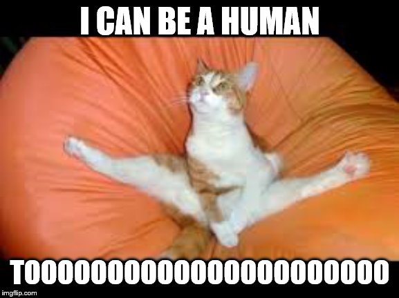 CAT WITH GYMNASTICS | I CAN BE A HUMAN; TOOOOOOOOOOOOOOOOOOOOOO | image tagged in cat with gymnastics | made w/ Imgflip meme maker