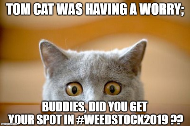 TOM CAT WAS HAVING A WORRY | TOM CAT WAS HAVING A WORRY;; BUDDIES, DID YOU GET YOUR SPOT IN #WEEDSTOCK2019 ?? | image tagged in tom cat was having a worry | made w/ Imgflip meme maker