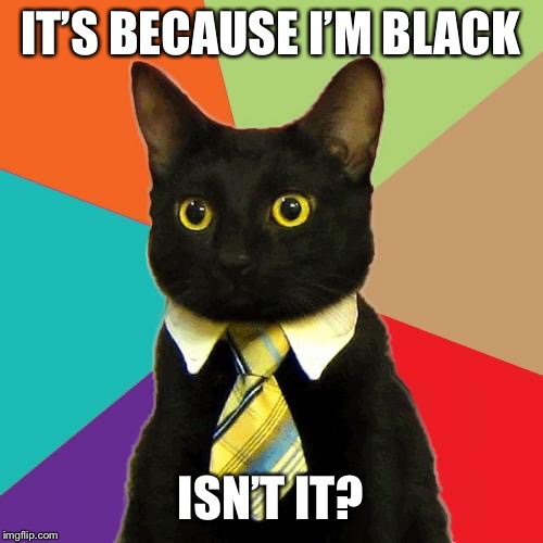 Business Cat Meme | IT’S BECAUSE I’M BLACK ISN’T IT? | image tagged in memes,business cat | made w/ Imgflip meme maker