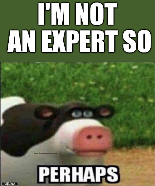 Perhaps Cow | I'M NOT AN EXPERT SO | image tagged in perhaps cow | made w/ Imgflip meme maker