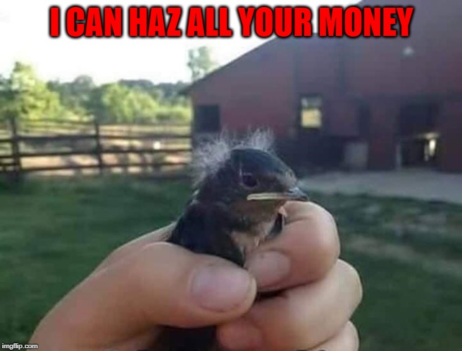 I CAN HAZ ALL YOUR MONEY | made w/ Imgflip meme maker