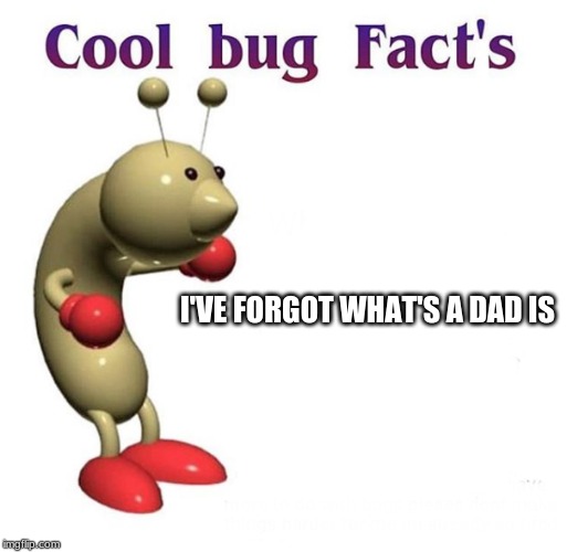 Cool Bug Facts | I'VE FORGOT WHAT'S A DAD IS | image tagged in cool bug facts | made w/ Imgflip meme maker