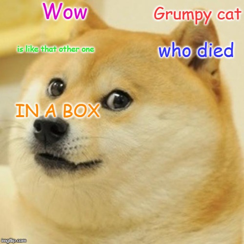 Doge Meme | Wow; Grumpy cat; is like that other one; who died; IN A BOX | image tagged in memes,doge | made w/ Imgflip meme maker